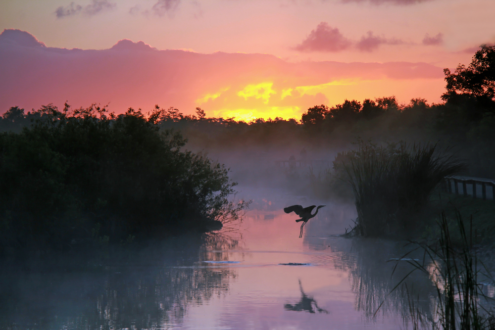 Everglades Nemzeti Park